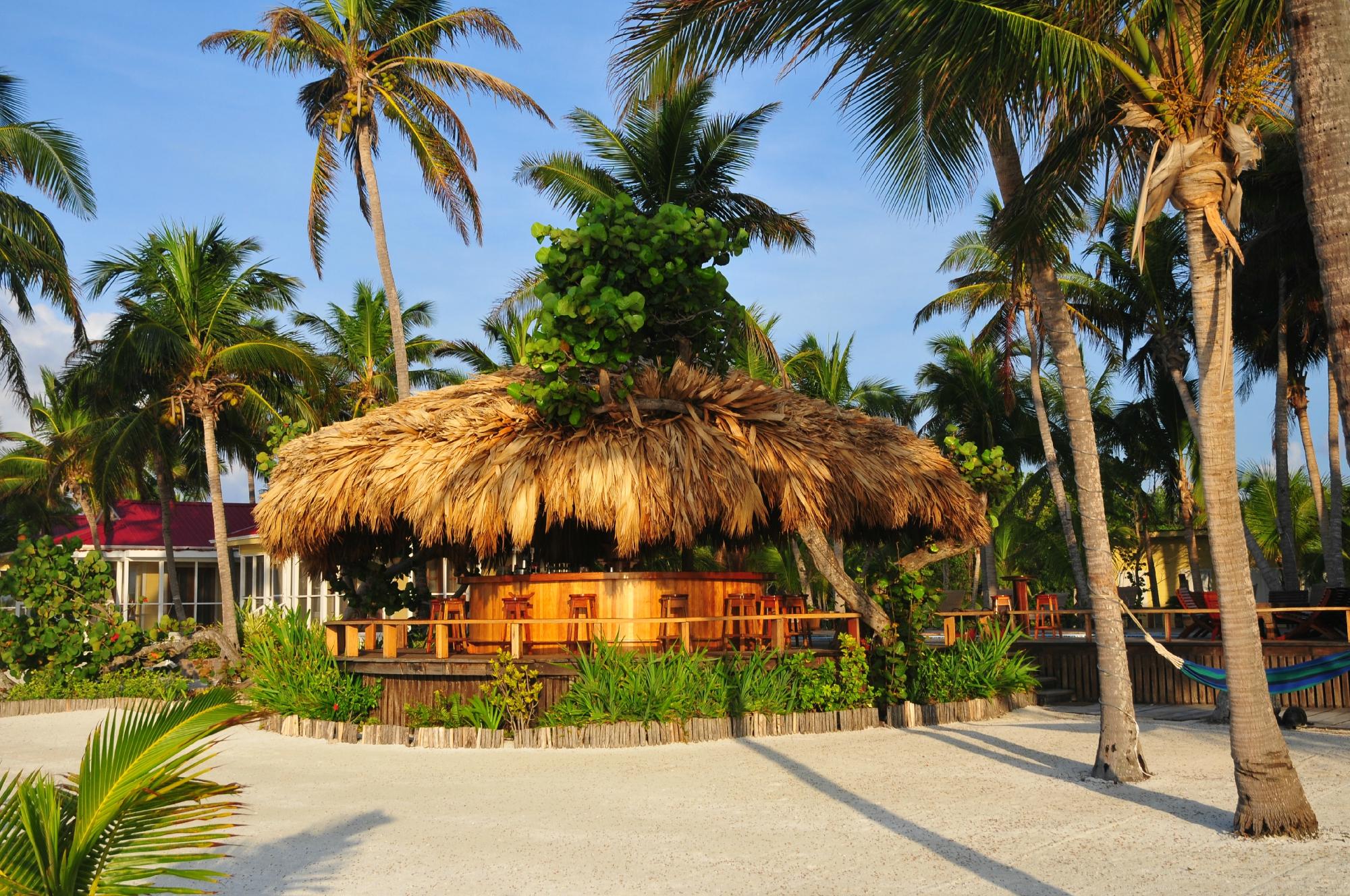 turneffe-island-resort bar