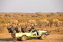 botswana jeep
