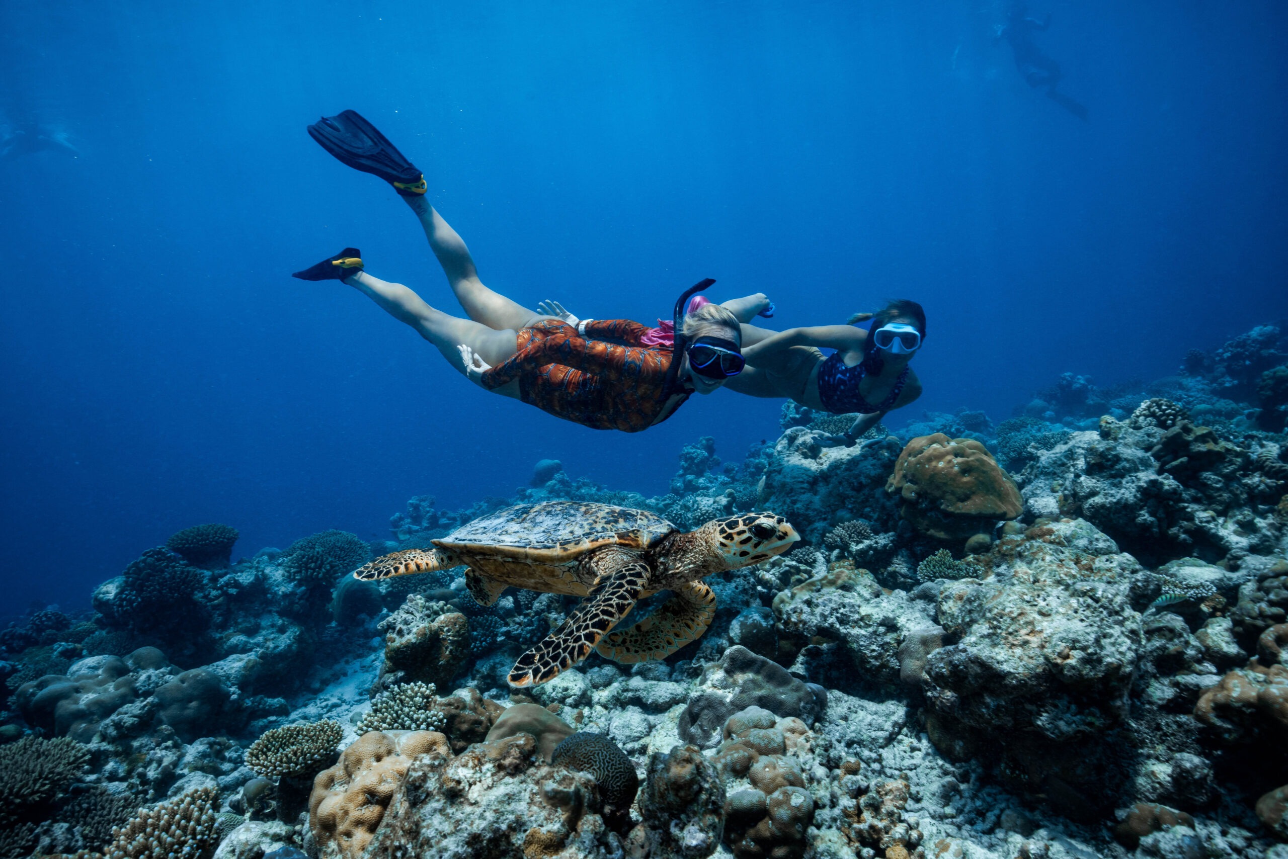 Underwater – Snorkeling 1