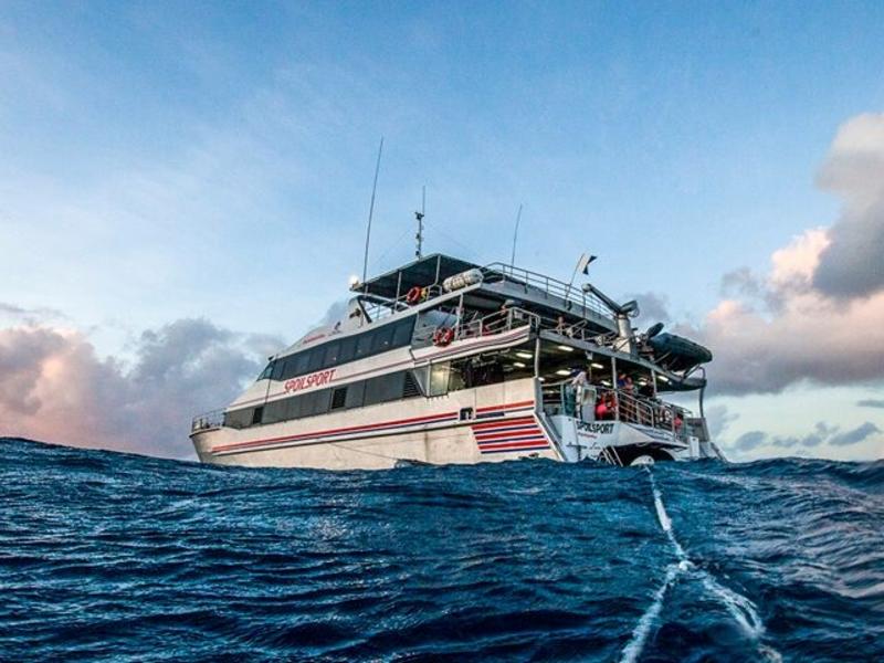 Spoilsport Mike Ball Dive Expeditions