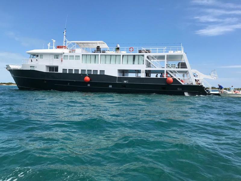 Jardines Avalon III