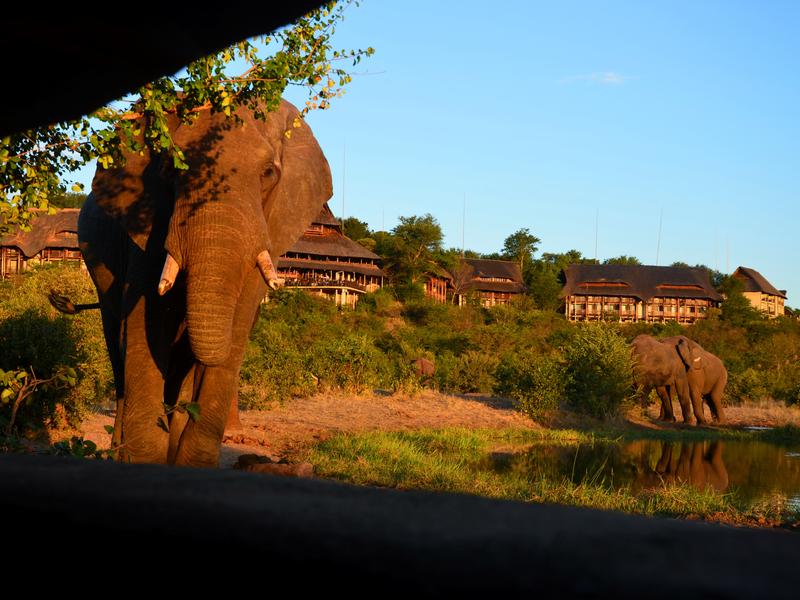 Victoria Falls Safari Lodge