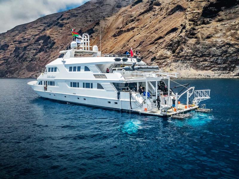 Nautilus Belle Amie